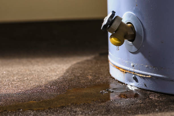 Best Residential water damage restoration  in Lyons, GA