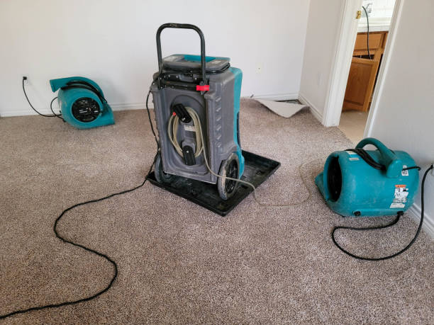 Best 24-hour water damage restoration  in Lyons, GA