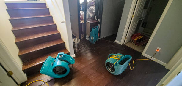 Best Ceiling water damage repair  in Lyons, GA