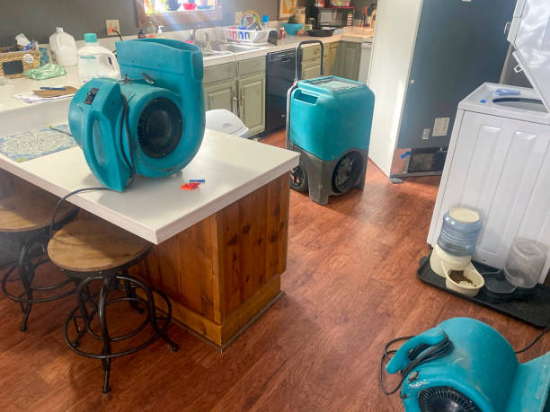 Best Carpet water damage restoration  in Lyons, GA
