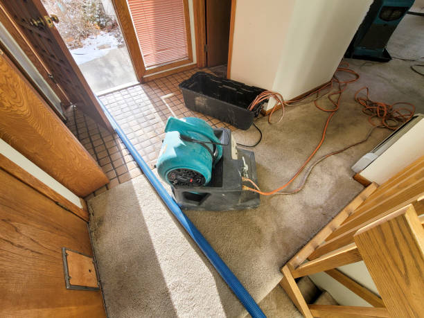 Best Local water damage restoration  in Lyons, GA