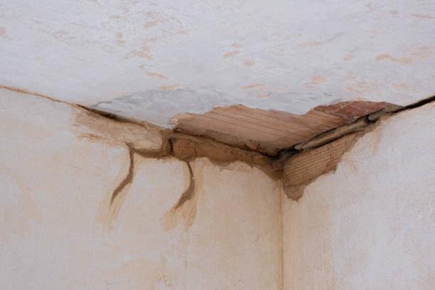 Best 24/7 water damage repair  in Lyons, GA