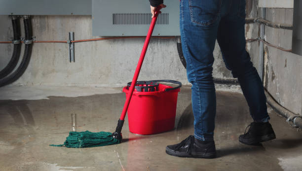 Best Ceiling water damage repair  in Lyons, GA