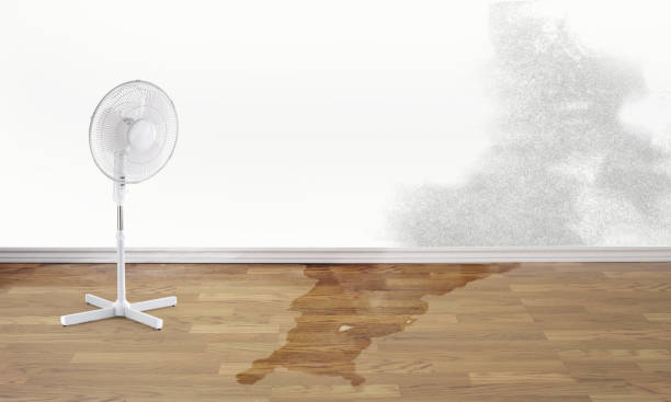 Best Sewage cleanup and water damage restoration  in Lyons, GA