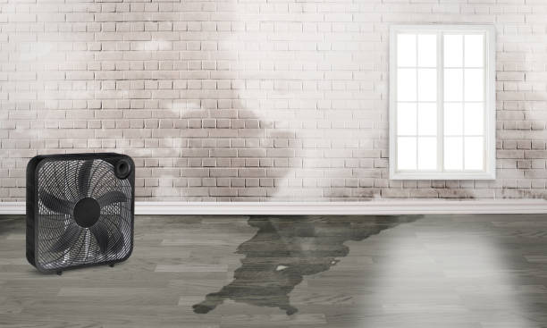 Reliable GA Water damage restoration Solutions