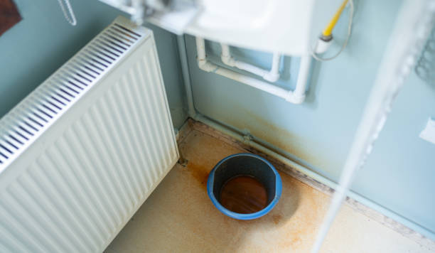 Best Water damage restoration services  in Lyons, GA