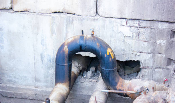 Best Water damage contractors near me  in Lyons, GA