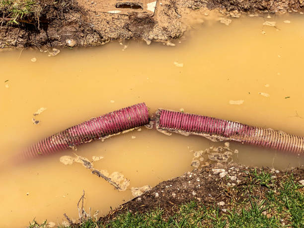  Lyons, GA Water damage restoration Pros