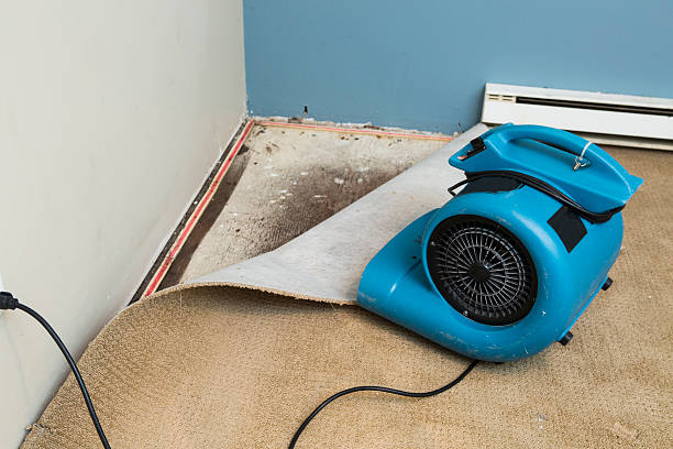 Best Water damage restoration cost  in Lyons, GA